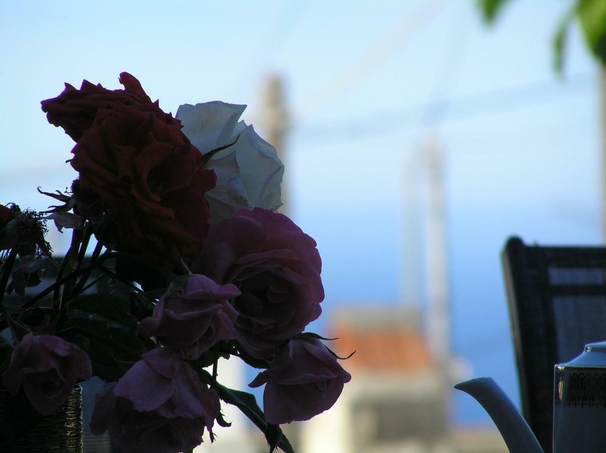 Villa Olga Agalianos Bagian luar foto